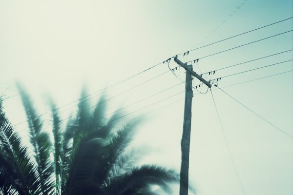 Nocturne  Web 2016 1000 x 785-6